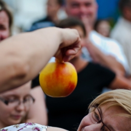 i_festyn_parafialny_84_20120211_1999149520