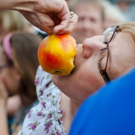 i_festyn_parafialny_86_20120211_1269524979