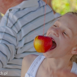 festyn_parafialny_20130520_1484183294