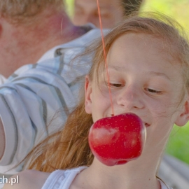 festyn_parafialny_20130520_1488937814