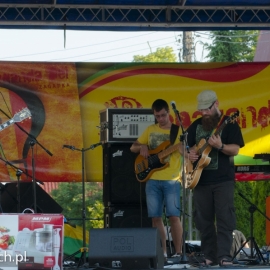 iv_festyn_parafialny_20140610_1369085529