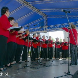 iv_festyn_parafialny_20140610_1893160734