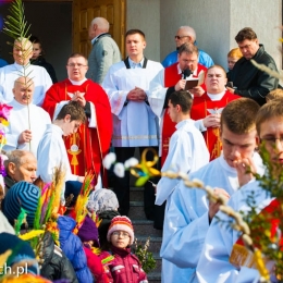 Niedziela Palmowa (03 2013)