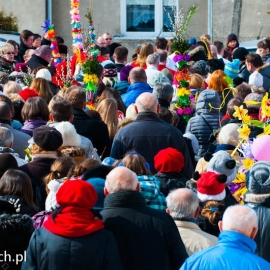 niedziela_palmowa_20130325_1279960475