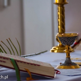 niedziela_palmowa_20130325_1432758603