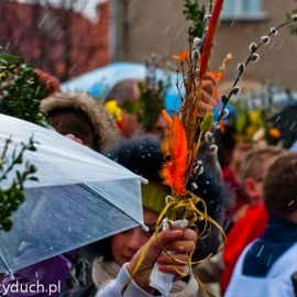 niedziela_palmowa_20120401_1077880396