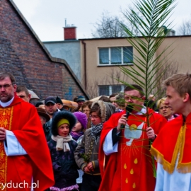 niedziela_palmowa_20120401_1167110204