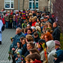 niedziela_palmowa_20120401_1174486441