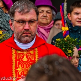 niedziela_palmowa_20120401_1556343129