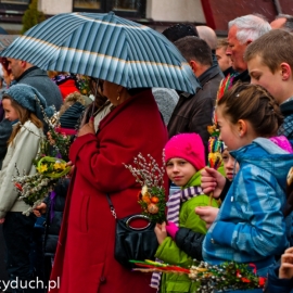 niedziela_palmowa_20120401_1743141951