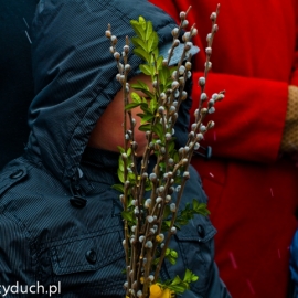 niedziela_palmowa_20120401_2035901288