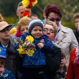 niedziela_palmowa_20140417_1178673752