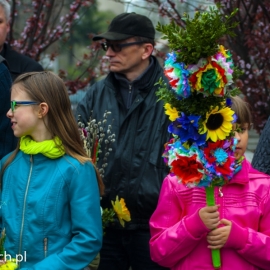 niedziela_palmowa_20140417_1298870403