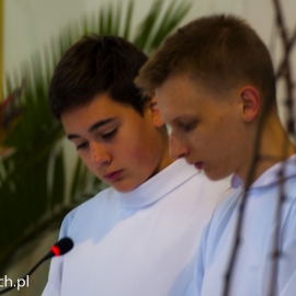 niedziela_palmowa_20140417_1532048952