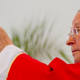 odpust_parafialny_-_festyn_rodzinny_20120529_1059644174