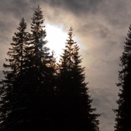 ferie_w_zakopanem_111_20120209_1295955137