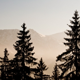 ferie_w_zakopanem_60_20120209_1300931333