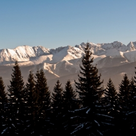 ferie_w_zakopanem_65_20120209_1129133568