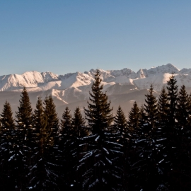 ferie_w_zakopanem_66_20120209_1834723707