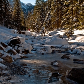 ferie_w_zakopanem_68_20120209_1586398178