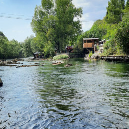 Pielgrzymka do  Medjugorie (08 2022)