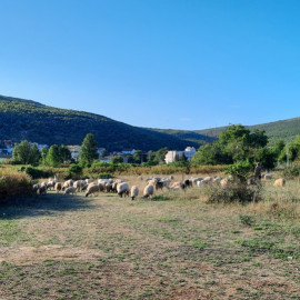 302101249_7795676800506784_1536147504225616789_n