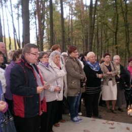 Pielgrzymka do Górska (10 2014)