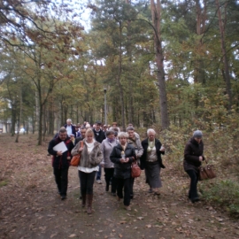 pielgrzymka_do_gorska_20141024_1158843856