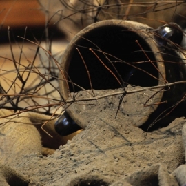 roda_popielcowa_20120222_1577126270