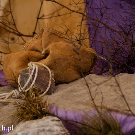 roda_popielcowa_20130213_1982751634