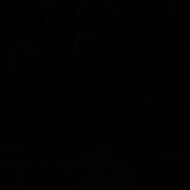 DSC0643