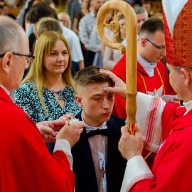 288601067_7451588924915575_2731403450598361005_n