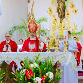 288647562_7451586938249107_6287465510513360541_n