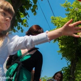 boe_ciao_2016_20160527_1250692570