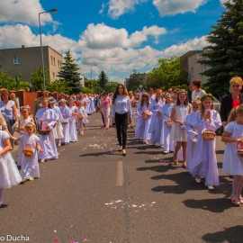 _DSC0252