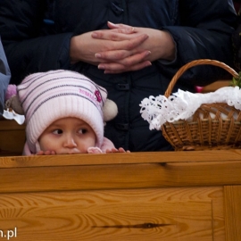 wicenie_pokarmow_20130330_1080169320