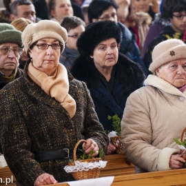 wicenie_pokarmow_20130330_1256407972