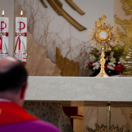 wizytacja_kanoniczna_17_20120210_1797560179