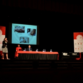 FormatFactoryDSC_0287