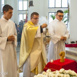 w_brat_albert_20131125_1114990589