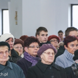 w_brat_albert_20131125_1944537430