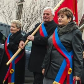 w_brat_albert_20131125_1779334911