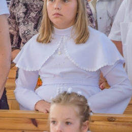 Zakończenie oktawy Bożego Ciała (06 2015)