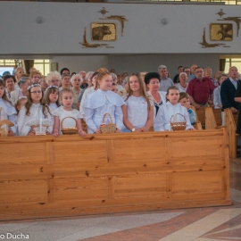 _DSC0847