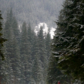 zakopane_2013_20130128_1074195738